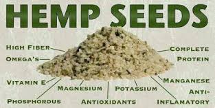 Australian & NZ Ministers Will Meet Next Month To Discuss Hemp Seed Food Production Opportunities