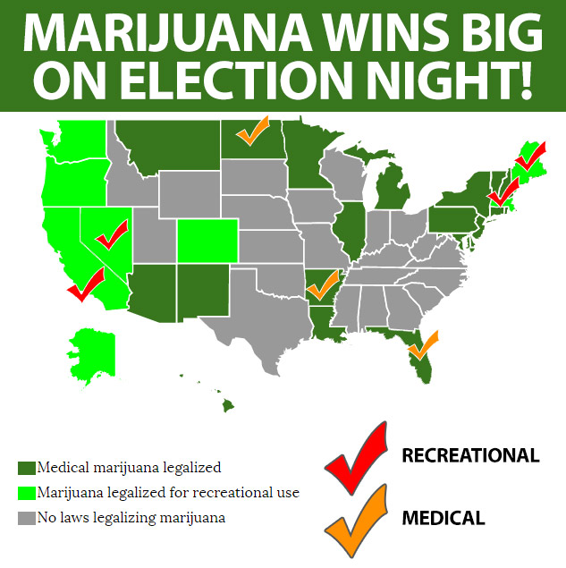 USA: Weedia Buzz Publishes Cannabis Ballot Results Infographic ...