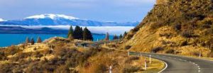 Tilray (Canada) Exports To New Zealand
