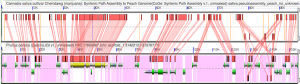 UC Davis Partner With Front Range Biosciences (FRB) To Map Cannabis / Hemp Genome