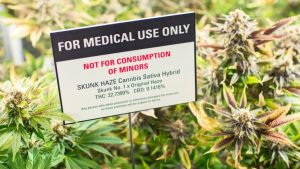 Israel Now Officially Regards Medical Cannabis Farming as "Traditional Farming"
