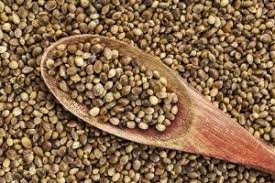 Report / Press Release: Hemp Protein market Global Industry Analysis and Forecast, 2016-2026