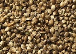 Overproduction & New Producers Means Hemp Seed Market To Tighten