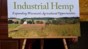 Wisconsin Farmers Can Now  Apply For State Industrial Hemp Pilot Project