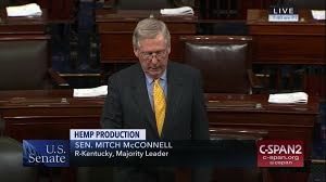 McConnell Introduces Hemp Legislation In The Senate