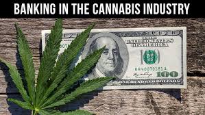 Fox Rothschild Lawyers Publish Article on Cannabis & Banking. What Defines Illegal Activity?