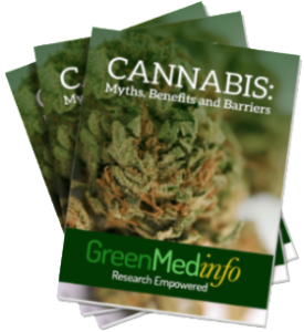 Free Pdf Downloads If You Need Some Basic Cannabis Health Research