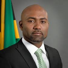 Jamaican Science, Energy and Technology Minister Andrew Wheatley Says Cannabis Is The Country’s Birthright & IP Must Be Protected