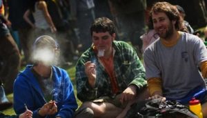Canadian Universities Take Different Approached To Regulated Cannabis on Campus