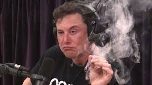 Elon Musk , Smokes A Spliff, Doesn't Inhale ..World Goes Crazy