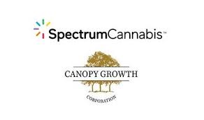 Spectrum Cannabis Cheers UK Home Office Decision. Time For A Sajid Javid Love In ?