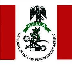 NDLEA (Nigeria Drug Law Enforcement Agency) Seizes 200 kg  of Weed