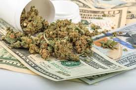 Cannabis Benchmarks Reports That Wholesale Prices Down Across The Board This Week