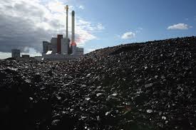 A Strain of Hemp Grows Well On Coal Waste