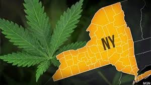 New York's Cannabis Legalization Hearings In Full Flow