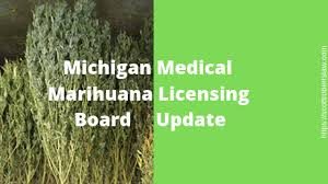 Michigan Will Try To Provide For Possible Shortages In Medical Cannabis By Approving Provisioning Centers In Wake Of Crack Down On Unlicensed Medical Cannabis Outlets