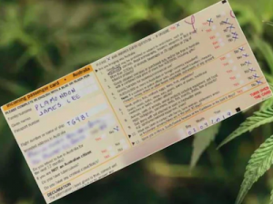 Loophole Allows Australians To Import Prescribed Medical Cannabis