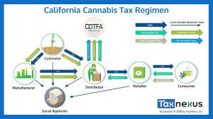 Article "Taxed to Death: Follow One Gram of Weed along California’s Twisted Path from Seed to Sale"