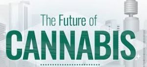 Legal Cannabis Predictions: What the Future of Legal Weed Looks Like
