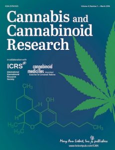Dutch Undertake First Study Of Synthetic Cannabis