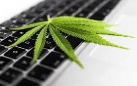 Law.com Publish Article About Issues Concerning Medical Cannabis In The Workplace