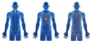 CBD Oil Gets Absorbed Faster And Best For Therapeutic Use