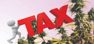 Where Is CA Cannabis Tax Revenue Going? Nobody Seems To Know Is The Answer