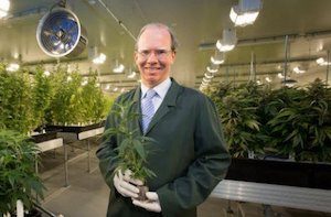 Australia: Cann CEO Peter Crock Estimates Australian Cannabis Medical Patient Numbers Could Reach 300K Individuals