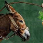 photo of Carrot and Stick! image