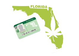 Lighting Up Florida's Medical Marijuana People: The Medics Series, Part 1