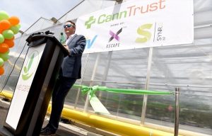 The CannTrust Hole Just Gets Bigger