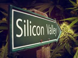 Article: Tech pioneers wanted: How Silicon Valley could solve cannabis problems