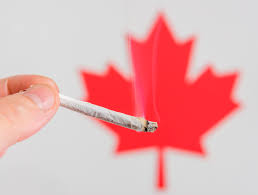 Canadian Taxpayers Federation Say Why Tax Medical Cannabis