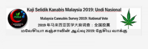 Malaysia Society of Awareness (MASA) launches national survey for cannabis in Malaysia.