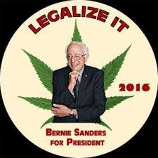 Motely Fool Article Questions Bernie Sanders Federal Tax Regime For Cannabis