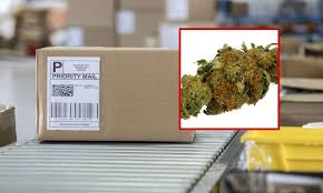 Media Report Alleges Hong Kong Cannabis Seizures Up Threefold Source Said To Be USA & Canada