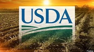 USDA Releases Video Explainer On Its Draft Rules For Hemp