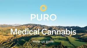 Medical cannabis company to make the most of Marlborough's 'California' climate