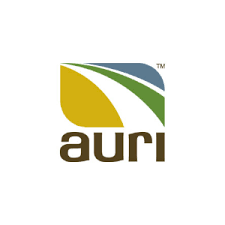 Report & Podcast AURI Releases Minnesota Industrial Hemp Report
