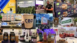 New Survey Shows Most Americans Wrongfully Assume CBD Products Are FDA Approved