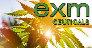 EXMceuticals Inc. announces appointment of new CEO