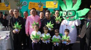 Thai PM Launches Govt Medical Cannabis Website