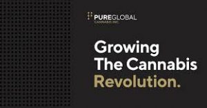 Canadian Company Pure Global Cannabis ‘temporarily’ lays off staff to conserve cash