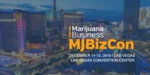 Chris Walsh, president and incoming CEO of Marijuana Business Daily Gives Keynote Speech At MJ Biz Con In Las Vegas