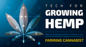 Infographic: AI & Robotics Enhance Cannabis Farming