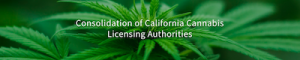 Gov Newsom Proposes Consolidating Three Cannabis Licensing Authorities - More Details In The Spring