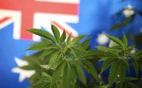 Australia TGA Stats Say More Patients Are Getting Access To Medical Cannabis