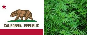 California Cannabis Safe Harbor Banking Bill Advances