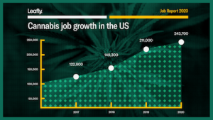 Leafley Cannabis Jobs Reports Says Industry Supports 243,700 Full Time Jobs