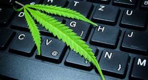 Article: The cannabis industry's next big threat: Hacks and fraud